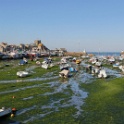 Cotentin2005 (5)